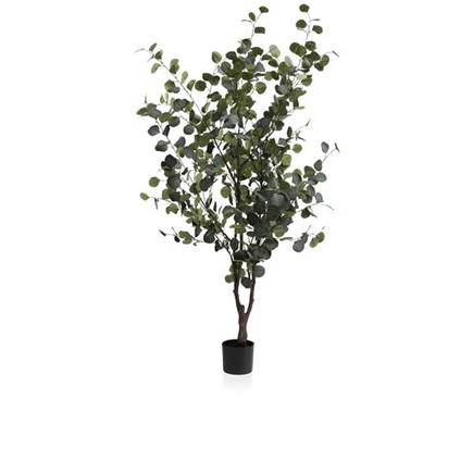Coco Maison Eucalyptus Tree kunstplant H180cm